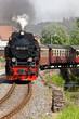 Selketalbahn Harz
