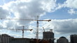 Cranes Orlando Florida Skyline Industrial
