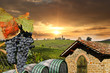 Chianti, famous vineyard in Italy