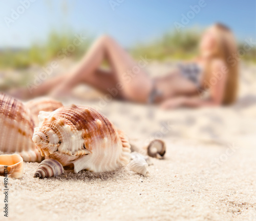 Photo: shells on sea sand shells on sea sand