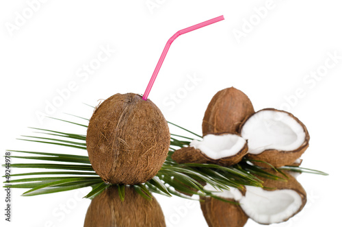 Photo: coconut coconut