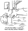 Cow brags about his productivity to pig