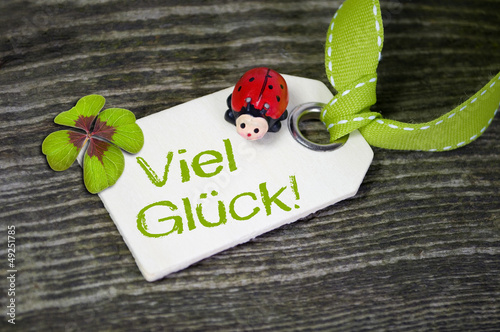 Photo: Holzanhänger mit Marienkäfer und viel Glück und Klee Holzanhänger mit Marienkäfer und viel Glück und Klee