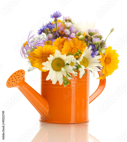 Photo: beautiful bouquet of bright wildflowers in watering can, beautiful bouquet of bright wildflowers in watering can,