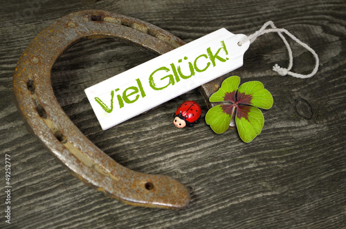 Photo: Holzanhänger mit Marienkäfer und viel Glück und Hufeisen Holzanhänger mit Marienkäfer und viel Glück und Hufeisen