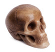 Plaster cast of a human skull