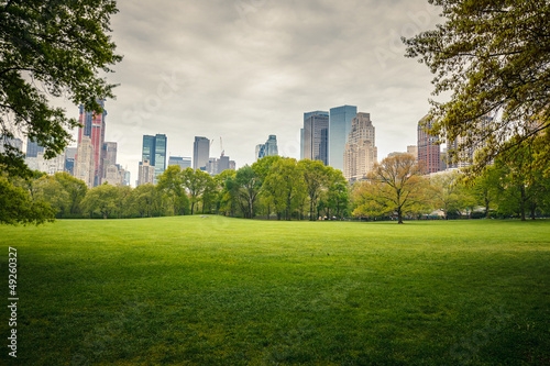 Photo: Central park at rainy day Central park at rainy day