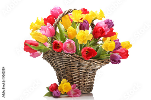 Photo: Tulips and daffodils in basket Tulips and daffodils in basket