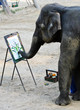 Elephant artist painting