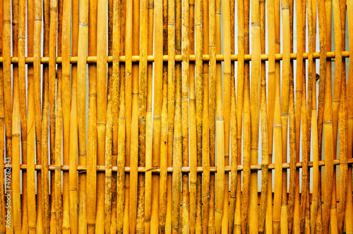 Photo: bamboo background bamboo background