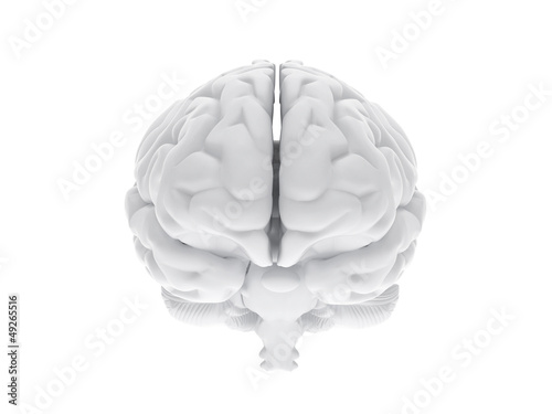 Illustration: 3d human brain 3d human brain