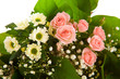Bouquet Flowers , Isolated Bouquet Flowers , Isolated