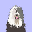 Old English Sheepdog