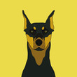 Doberman