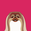 Pekingese