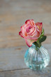 Pink rose in a vase on wooden background