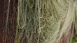 fishing nets