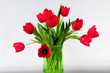 rote Tulpen in einer Vase