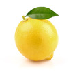 Juicy lemon with leaf