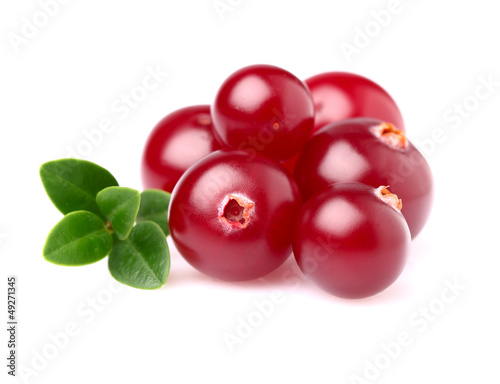 Photo: Ripe cranberry in closeup Ripe cranberry in closeup