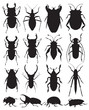 beetles vector silhouettes