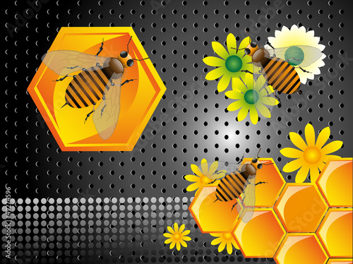 Vector: Bees and honeycomb cells Bees and honeycomb cells