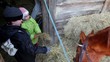 Boy and girl feed horse
