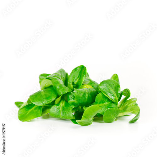 Photo: Feldsalat Feldsalat