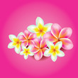 vector background with flowers