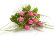 Bouquet Tulips, Isolated Bouquet Tulips, Isolated