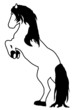 Steigendes Pferd, schwarz weiss