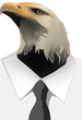 maschera d'aquila