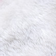 White fur texture