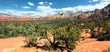 panoramic Arizona