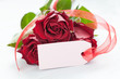 Rosen mit Schild
