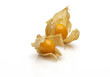 two physalis