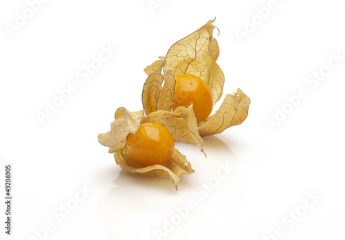 Photo: two physalis two physalis