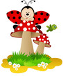 Ladybug on a mushroom