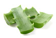 Foto: Aloe vera plants Aloe vera plants