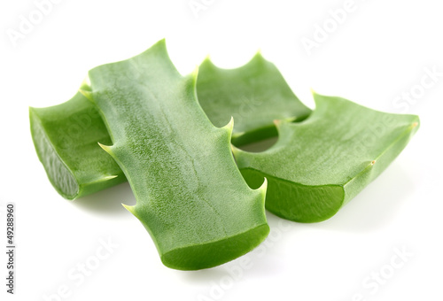 Photo: Aloe vera plants Aloe vera plants