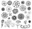 collection of hand drawn flowers