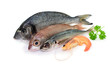 Fische, Garnele