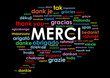 Nuage de Tags "MERCI" (message thank you danke gracias)