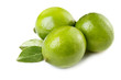 Tree ripe limes with leaves