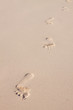 footprint