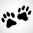 Grunge dog paws