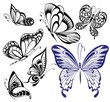 Collection black and white butterflies.Tattoo design