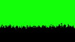 Video: Crowd of people. Green screen. Crowd of people. Green screen.