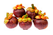 Photo: mangosteen tropical fruit in Thailand on white background mangosteen tropical fruit in Thailand on white background