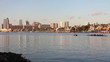 Downtown Tampa skyline with rowing teams practicing